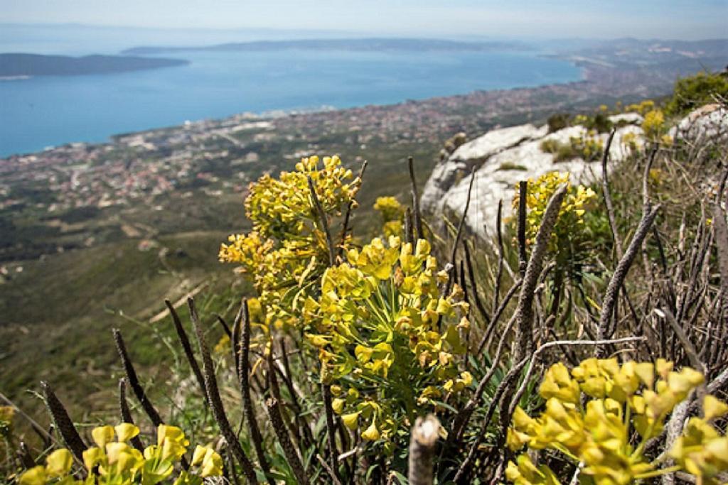 Apartmani Strada Kaštela Exteriér fotografie